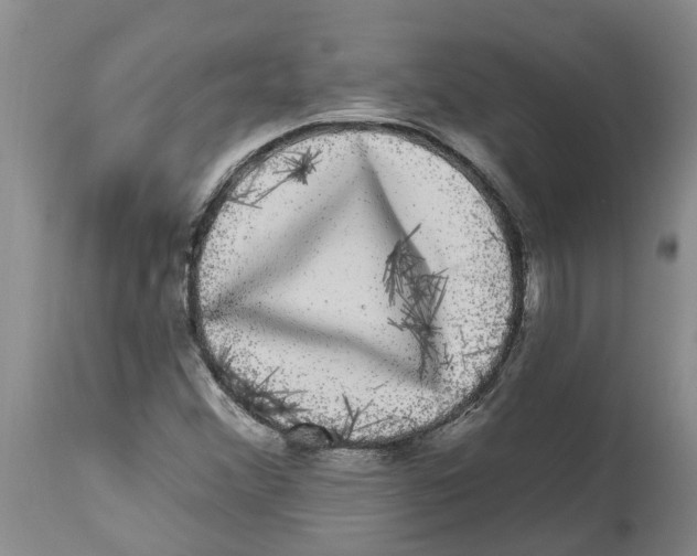 X0000114181356200911051541