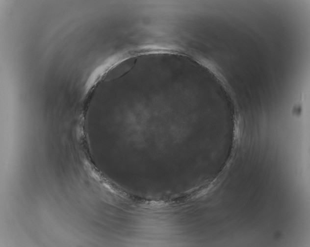 X0000114181357200911051541