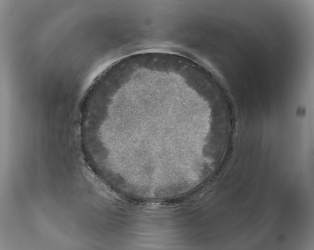 X0000114181360200911051541