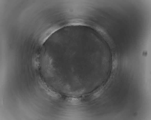 X0000114181361200911051541