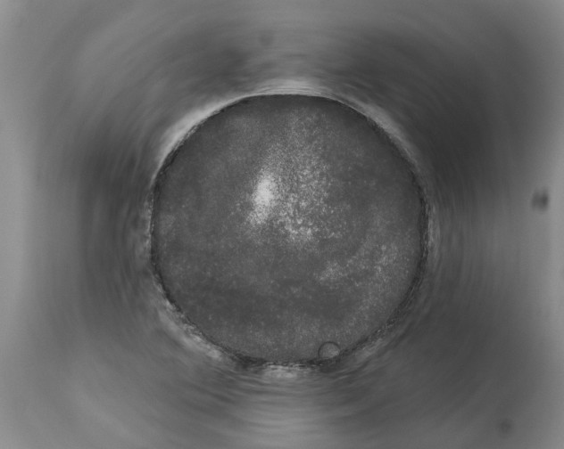 X0000114181364200911051541