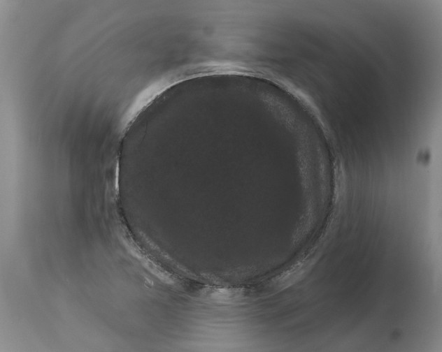 X0000114181365200911051541