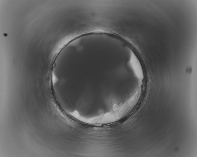 X0000114181367200911051541