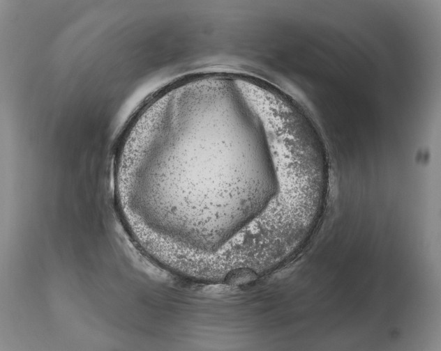 X0000114181368200911051541