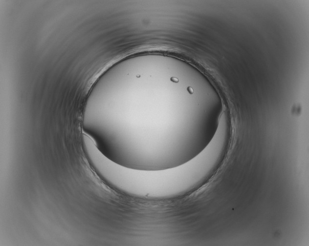 X0000114181369200911051541