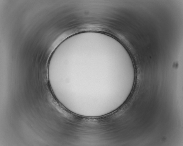 X0000114181370200911051541