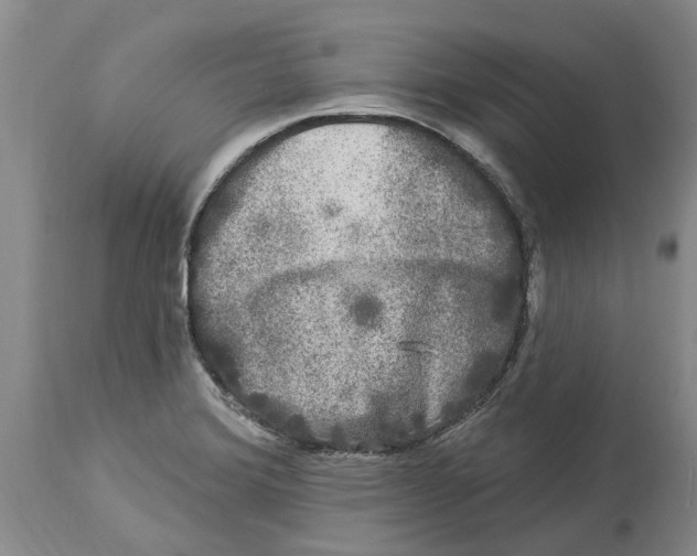 X0000114181372200911051541