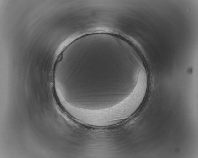 X0000114181373200911051541