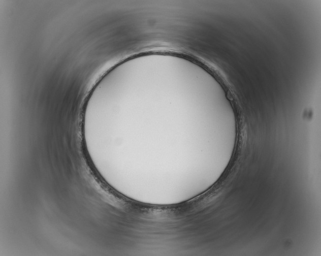 X0000114181375200911051541