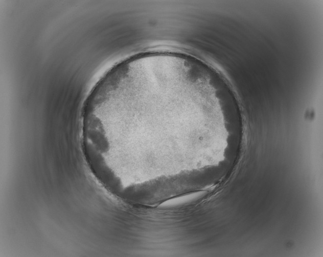 X0000114181376200911051540