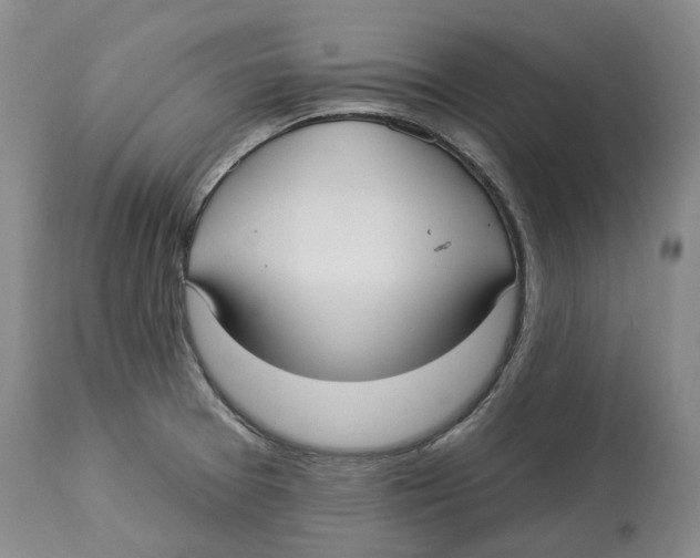 X0000114181377200911051540