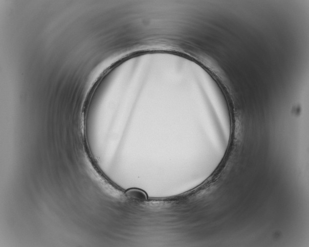 X0000114181380200911051540