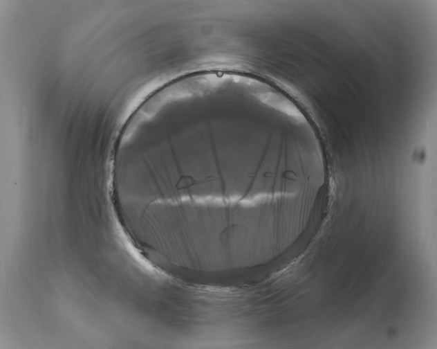 X0000114181383200911051540