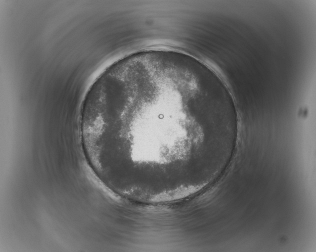 X0000114181384200911051540