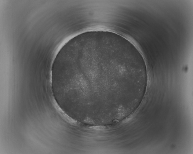 X0000114181388200911051540