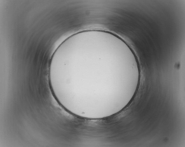 X0000114181390200911051540