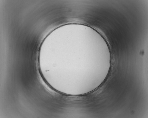 X0000114181391200911051540