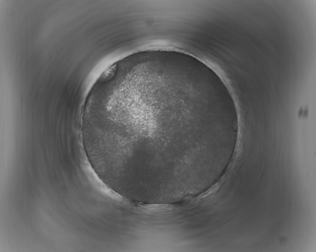 X0000114181392200911051540