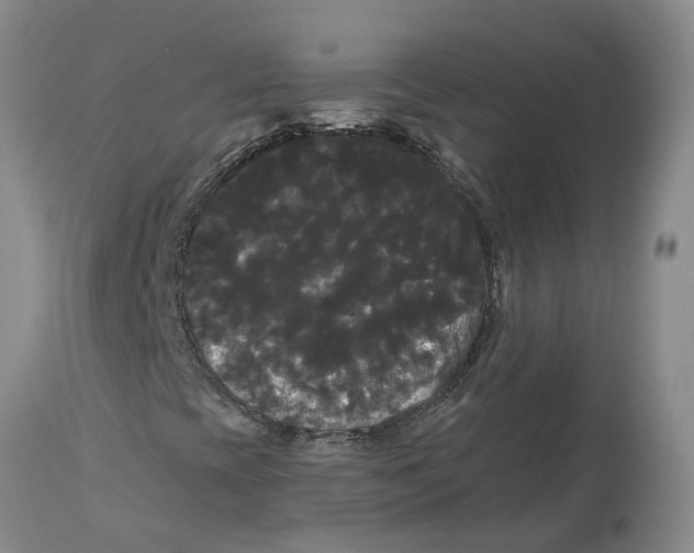 X0000114181393200911051540