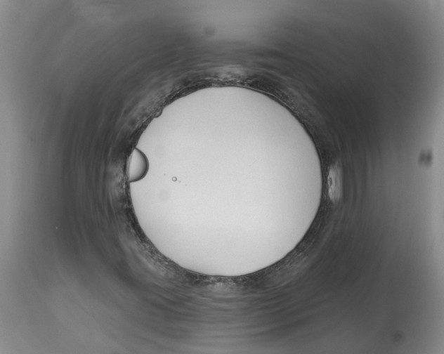 X0000114181395200911051540