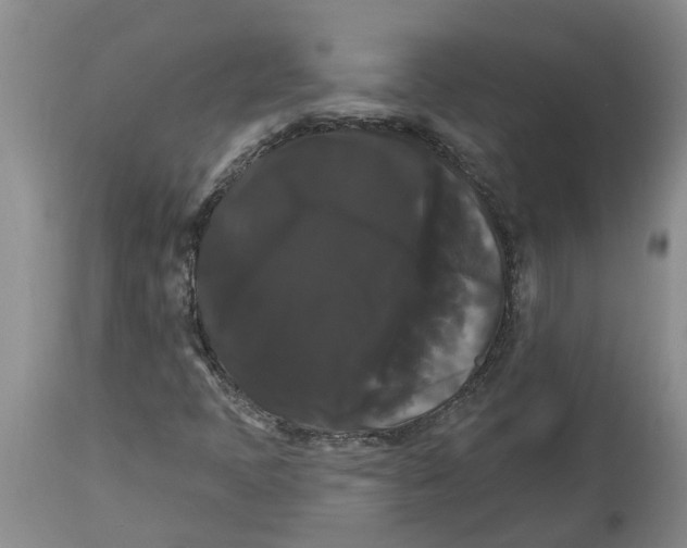 X0000114181397200911051540