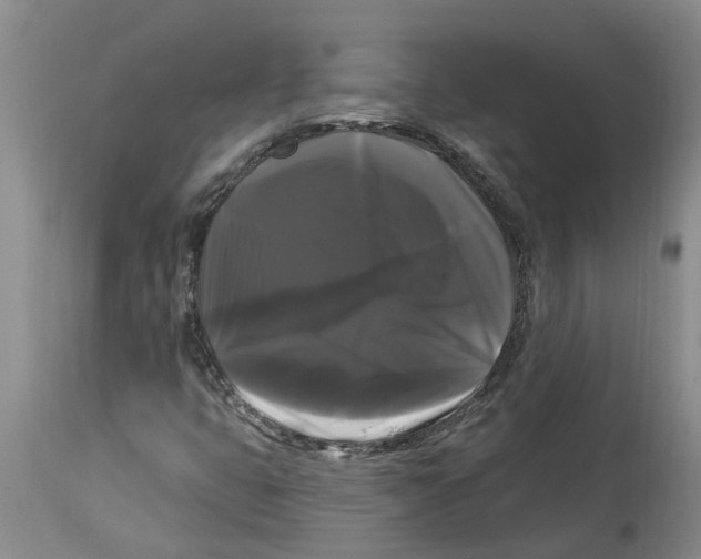 X0000114181399200911051540