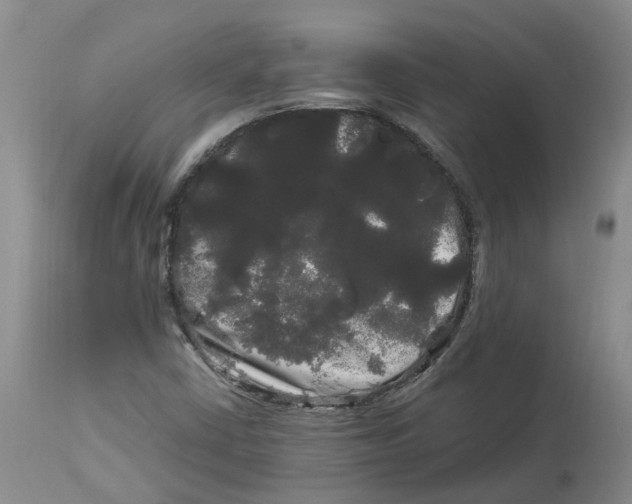 X0000114181402200911051540