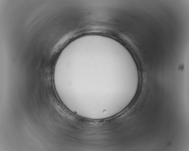 X0000114181403200911051540