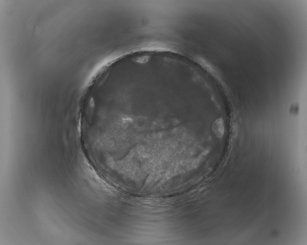 X0000114181408200911051540