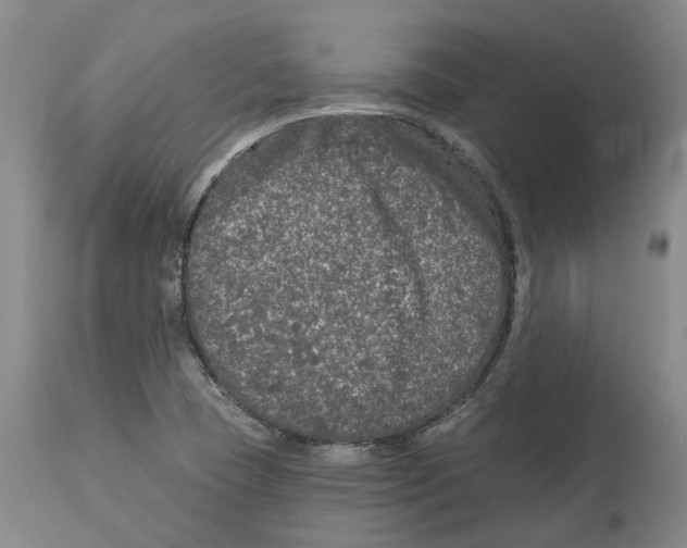 X0000114181409200911051540