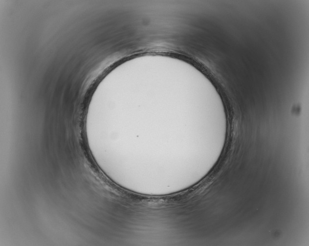 X0000114181410200911051540