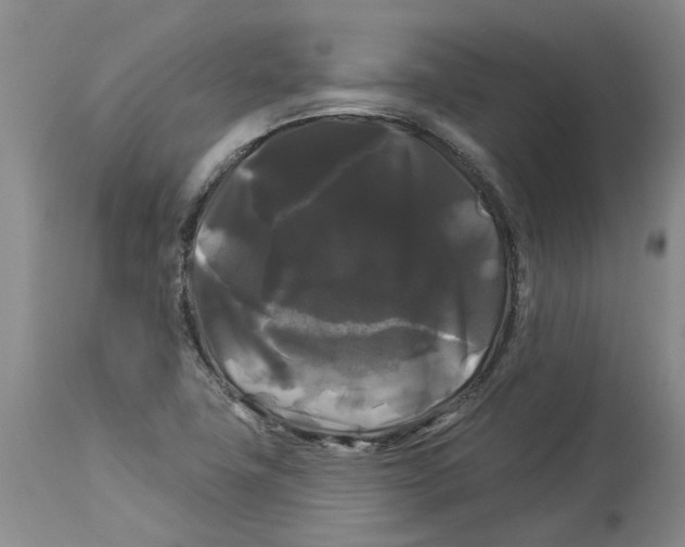 X0000114181411200911051540