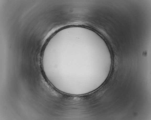 X0000114181412200911051540