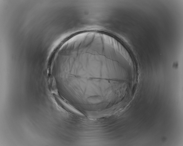 X0000114181414200911051540