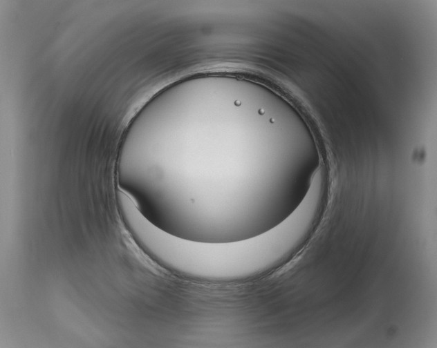 X0000114181417200911051540