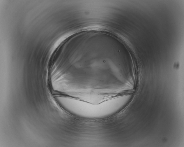 X0000114181418200911051540