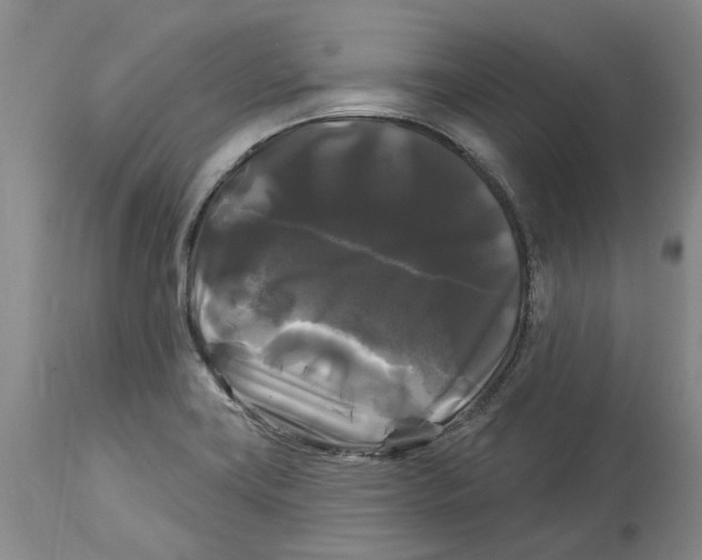 X0000114181419200911051540