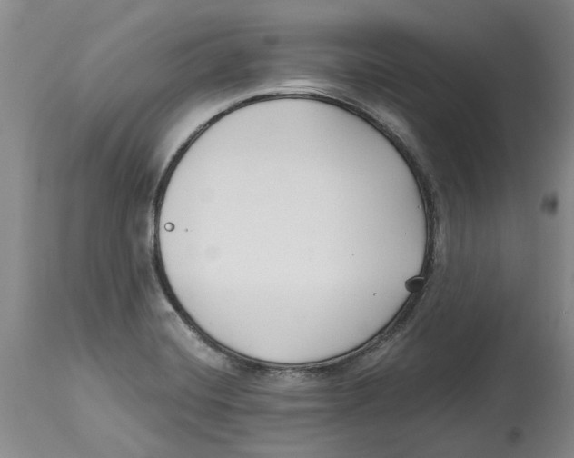 X0000114181420200911051540