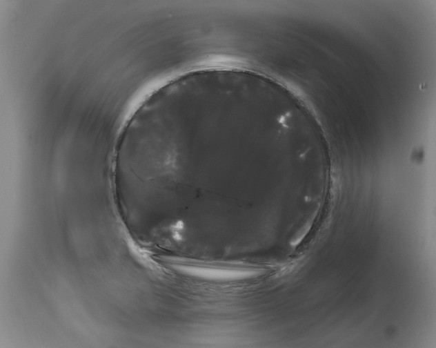 X0000114181421200911051540