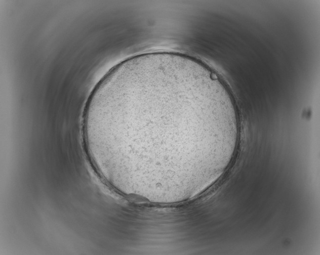 X0000114181423200911051540