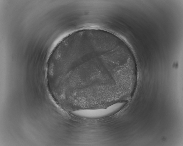 X0000114181424200911051540