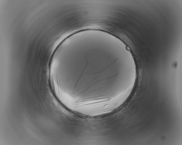 X0000114181428200911051540