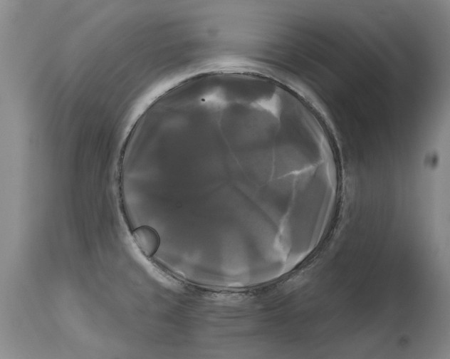 X0000114181429200911051540