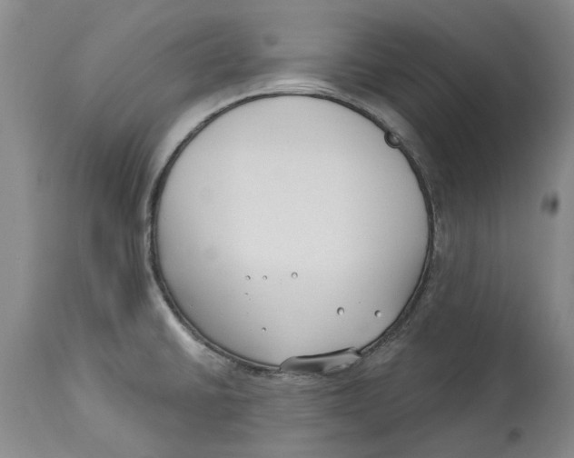 X0000114181430200911051540