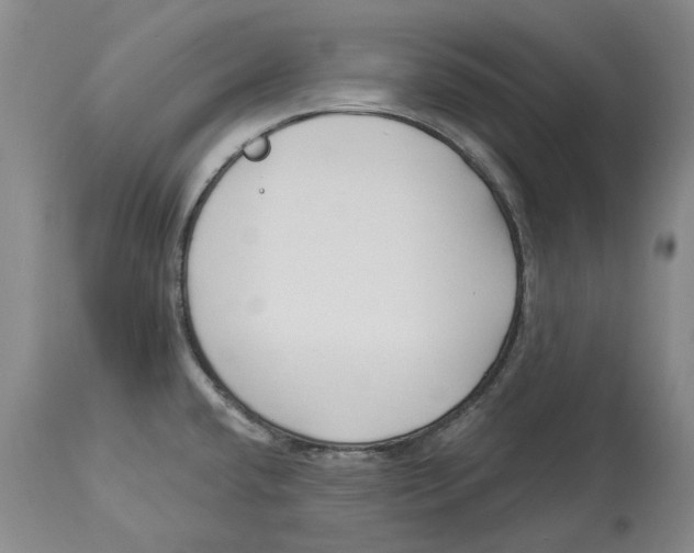 X0000114181432200911051540