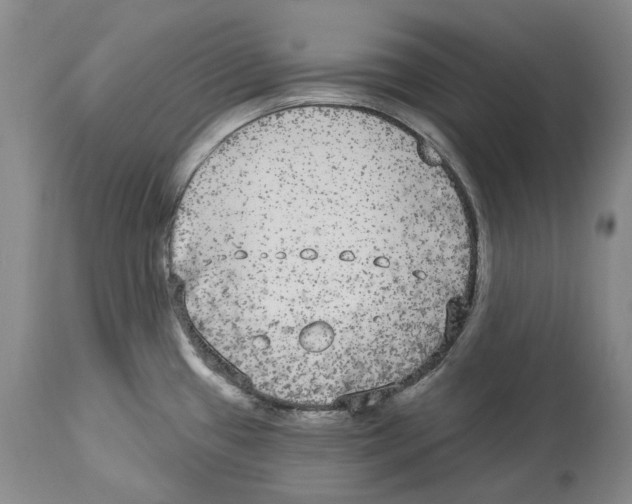 X0000114181433200911051540