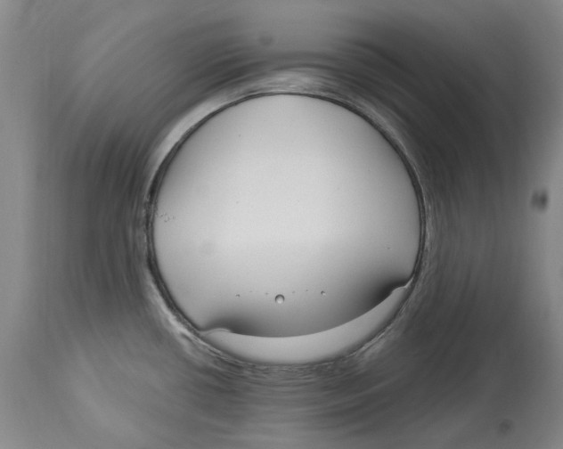 X0000114181434200911051540