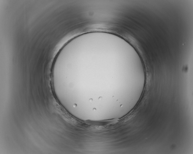 X0000114181435200911051540