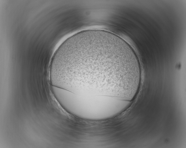 X0000114181436200911051540