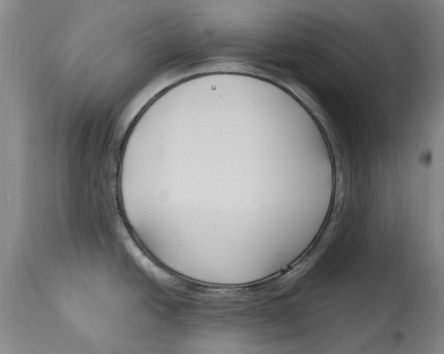 X0000114181438200911051540